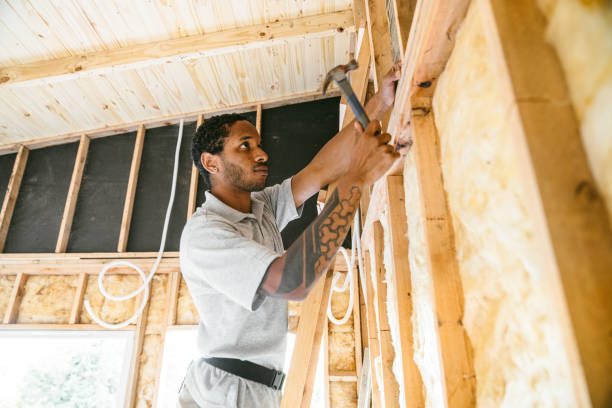 Best Attic Insulation Installation  in Spring Lake, NJ